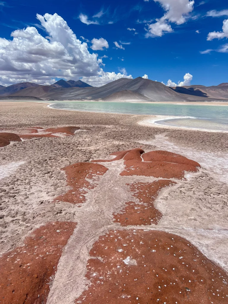 Journée 1 Désert Atacama